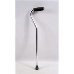 St. Vincent (Bill Murray) Cane Movie Props