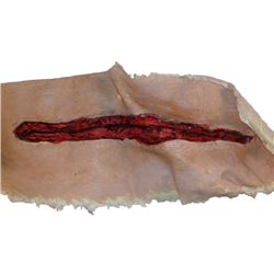 Resident Evil: Retribution Rain (Michelle Rodriguez) SFX Movie Props