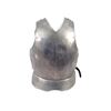 Image 5 : Movie Prop Armor