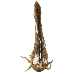 Falling Skies Underwater Harness Prop