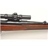 Image 12 : Pre-64 Winchester Model 70 Super Grade bolt  action rifle, .270 W.C.F. caliber, 24” round  barrel, b