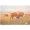 Image 2 : Buffalo on the plains original oil on canvas  signed lower left “Ace Powell”. Measures  approximatel