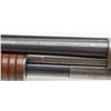 Image 2 : Winchester Model 12 pump action shotgun, 12  Gauge, Serial #496955.  The shotgun is in  overall very
