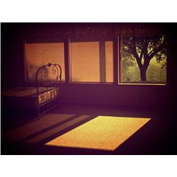 "Morning Still" by William Feffer