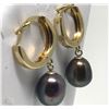 Image 1 : #20-14K GOLD FRESHWATER PEARL EARRINGS