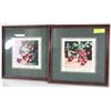 Image 1 : LOT OF 2 NEW FRAMED FRUIT PICTURES 15"X15" EACH