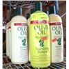 Image 1 : ELEVEN 1L BOTTLES OF OLIVE OIL SHAMPOO AND