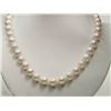 Image 1 : #11-STERLING SILVER FRESHWATER PEARL
