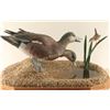 Image 2 : Waterfowl Carving by William Bishop