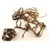 Image 2 : Collection of 2 Bridles