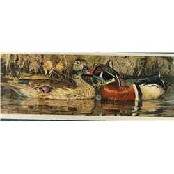 Limited Edition Fine Art Print