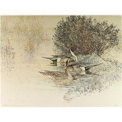 Limited Edition Fine Art Print