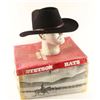 Image 1 : Stetson Cowboy Hat
