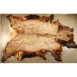 Large Elk Hide