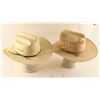 Image 1 : Lot of 2 Straw Cowboy Hats