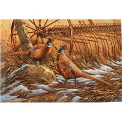 Limited Edition Fine Art Print