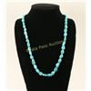 Image 1 : Single Strand Sleeping Beauty Turquoise Necklace
