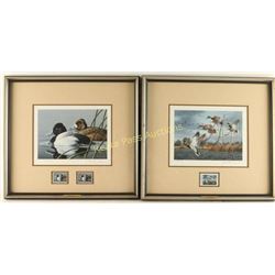 Lot of 2 Fine Art Waterfowl Prints with Stamps