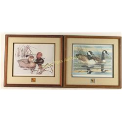 Lot of 2 Fine Art Waterfowl Prints with Pins