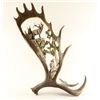 Image 3 : Beautiful Faux Moose Antler Decorator