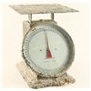 Image 1 : Large Rustic Scale