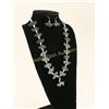 Image 2 : Navajo Buffalo Fetish Necklace & earrings Set