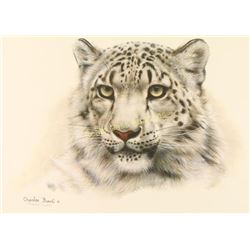 Lot of 2 Fine Art Prints