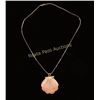 Image 2 : Seashell Pendant & Chain