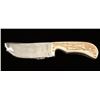 Image 1 : High Polished Skinner Knife by Weinand