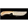 Image 2 : High Polished Skinner Knife by Weinand