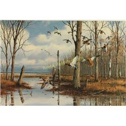 Limited Edition Fine Art Print