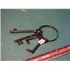 Image 1 : Set Of Cast Iron Keys