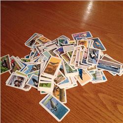 Red Rose Tea Cards (200 Plus, Animals, Birds, Trees)