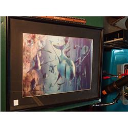 3D Framed Picture, Sharks