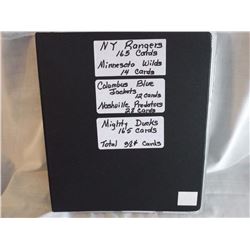 Hockey Card Album, (New York Rangers, Minnesota, Columbus, Nashville, Anaheim, Total 384, No Doubles