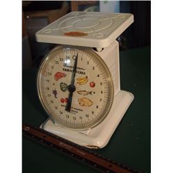 American Family Scale