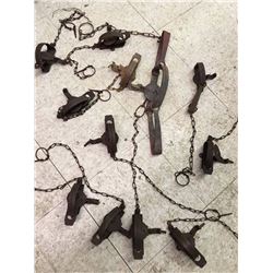 Lot of Antique Traps (12)