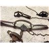 Image 3 : Lot of Antique Traps (12)