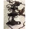 Image 4 : Lot of Antique Traps (12)