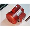 Image 2 : Electric FHP Motor 3/4 HP, 1725 RPM, 120/240 Volts