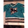 Image 1 : 1988 CCM San Jose Sharks Jersey Large