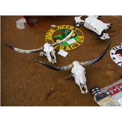 LONG HORN SKULL