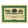 Image 1 : New York-Philadelphia Co. ca. 1900 Specimen Stock Certificate.