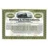 Image 1 : Buffalo and Susquehanna Railroad Co., ca.1900-1910 Specimen Bond