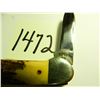 Image 2 : CASE #52131, year made 1995 or 1994 I am not an expert, Canoe, Genuine Stag Handles
