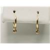 Image 1 : #43-14KT YELLOW GOLD DIAMOND EARRINGS