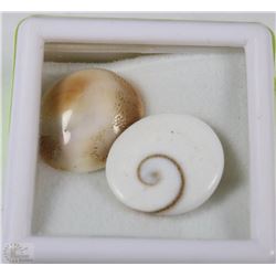 120) NATURAL SHIVA'S EYE 2PCS 20CT NO TREATMENT