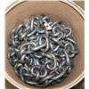 Image 1 : CAMPBELL 5/8" GRADE 30 PROOF COIL CHAIN 150'