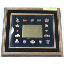 ASSORTED CN COLLECTION OF PINS FRAMED INCL POLICE