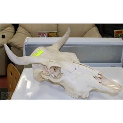 STEER SKULL